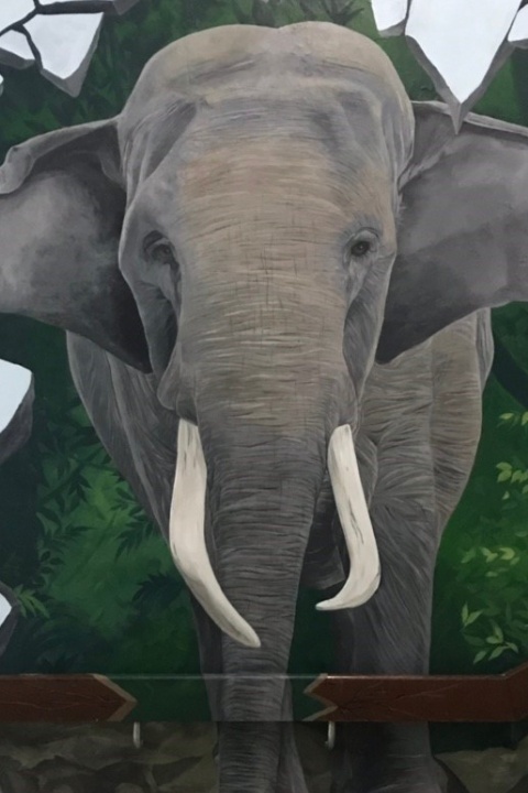 台北市立動物園